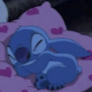 Meet your Posher, Molly